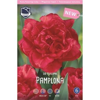 tyulpan-pamplona2-w800-h800