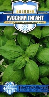 00013618_Базилик Русский Гигант зеленый (Гавриш) 1