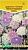 Дидискус голубой Легкое кружево смесь 10шт (Евросемена)