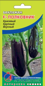 00031242_Баклажан Полковник (Агросемтомс)