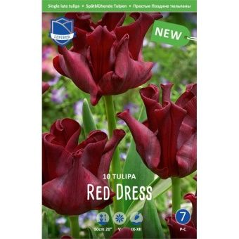 tyulpan-red-dress-w800-h800