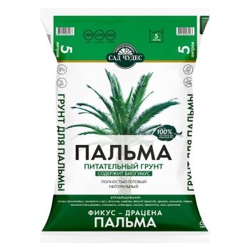 00002605_Сад Чудес Пальма 5л (Норд Палп)