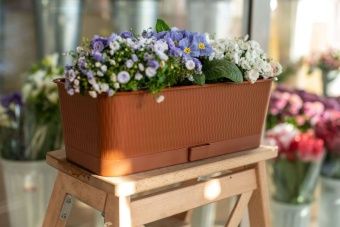 00033547_Ящик балконный Прованс с поддоном 6л длин