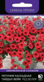 petunia_kaskadnaya_taidal_wave_red_velur