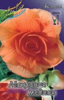 00036188_Бегония махровая Медная 5шт (КолорЛайн)