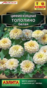 5bc067d4_5a79_11ed_810f_0cc47adb9c64_dd8d12f8_b53b_11ee_8120_0cc47adb9c64