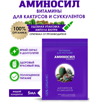 Снимок