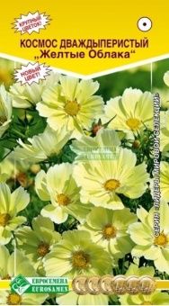 00041961_Космос Желтые Облака дваждыперистый 0,1г 