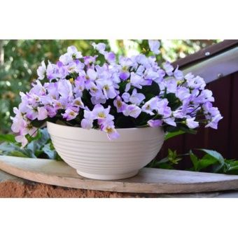 00028174_Миска Парма без поддона 2л d20 h9,5 белая