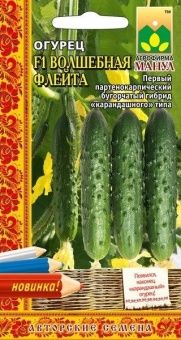 00028224_Огурец Волшебная Флейта (Манул)