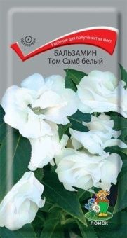 00041040_Бальзамин Том Самб белый 0,1гр.(ПОИСК)