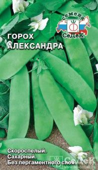 00017495_Горох Александра (СеДек)