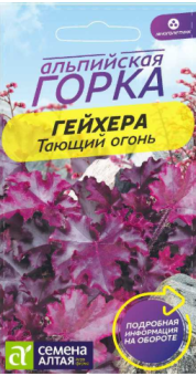 Снимок экрана 2025-08-08 124515