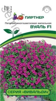 00031143_Петуния Вуаль F1 фиолетовая многоцветкова