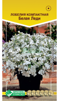 dq7bc4nz66ia2cx49yxpm13dkuplj6fz