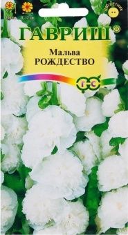 00007719_Мальва Рождество (Гавриш) 1_800