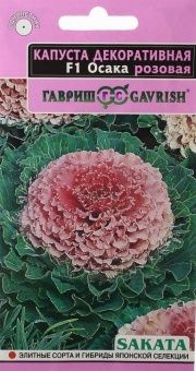 00012604_Капуста Декор. Осака розовая (Гавриш) 110