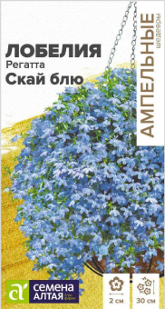 Снимок