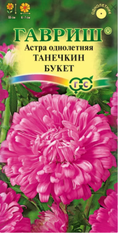 00009420_Астра Танечкин Букет (Гавриш) 1800