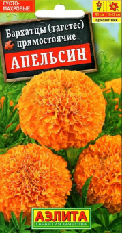 00017599_Бархатцы Апельсин прямостоячие (Аэлита)