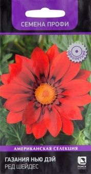 00036583_Газания Нью Дэй Ред Шейдес Семена Профи 1