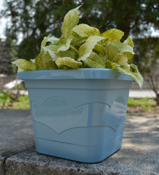 00042931_Валенсия квадрат горшок с поддоном 2,9л d