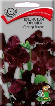 00021356_Душистый горошек Спенсер божоле 1г (ПОИСК