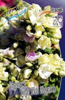 Phlox Creme de la Creme