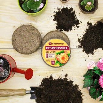00041823_Почвобрикет Бегония 2,5л круглый 1_33 (Б_