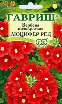 00008203_Вербена Люцифер Ред низкая (Гавриш) 1800