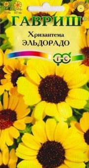 00010219_Хризантема Эльдорадо (Гавриш)