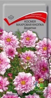 00029408_Космея Махровая кнопка Двуцветная 0,1г (П