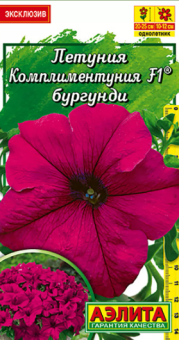 Комплиментуния бургунди крупноцветковая (Аэлита)