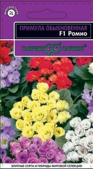 00017763_Примула Ромио (Гавриш)