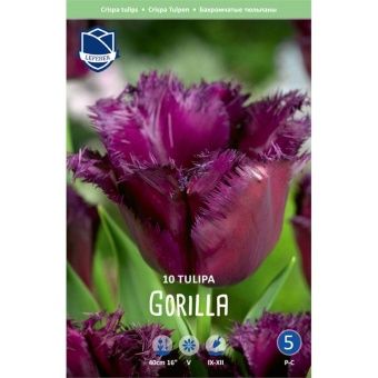tyulpan-gorilla-w800-h800