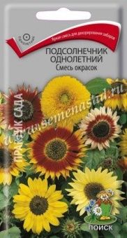 00041127_Подсолнечник Смесь окрасок декоративный 1