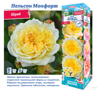 Снимок экрана 2025-10-09 153037