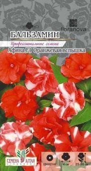 00024170_Бальзамин Афина Оранжевая вспышка 5шт (Се