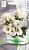 Эустома Сюита Белая крупноцветковая 5шт (Поиск) 