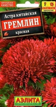 00022713_Астра Гремлин красная (Аэлита)