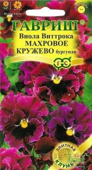 00009452_Виола Махровое кружево бургунди (Гавриш)