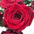 Роза Эксплорер чайно-гибридная ЭКОНОМ (Барнаул)
