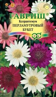 00011309_Ксерантемум Перламутровый букет (Гавриш) 