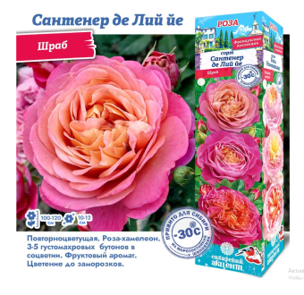 Снимок экрана 2025-10-09 163558