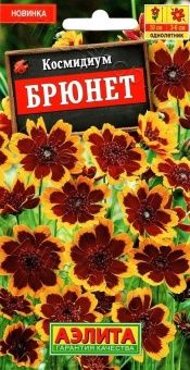 00040817_Космидиум Брюнет (Аэлита)