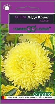 00011585_Астра Леди Корал желтая (Гавриш) 1_1200