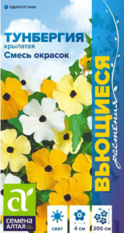 Снимок экрана 2025-01-24 093436