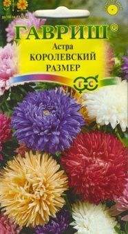 00011583_Астра Королевский размер смесь 0,3г (Гавр