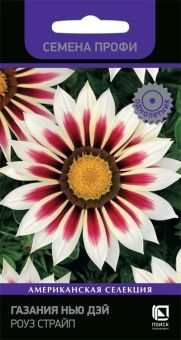 00041063_Газания Нью Дэй Роуз Страйп Семена Профи 10шт (ПОИСК)