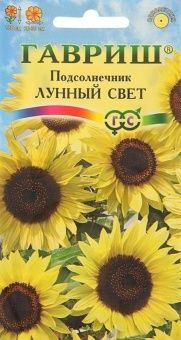 00001194_Подсолнечник Лунный свет (Гавриш)